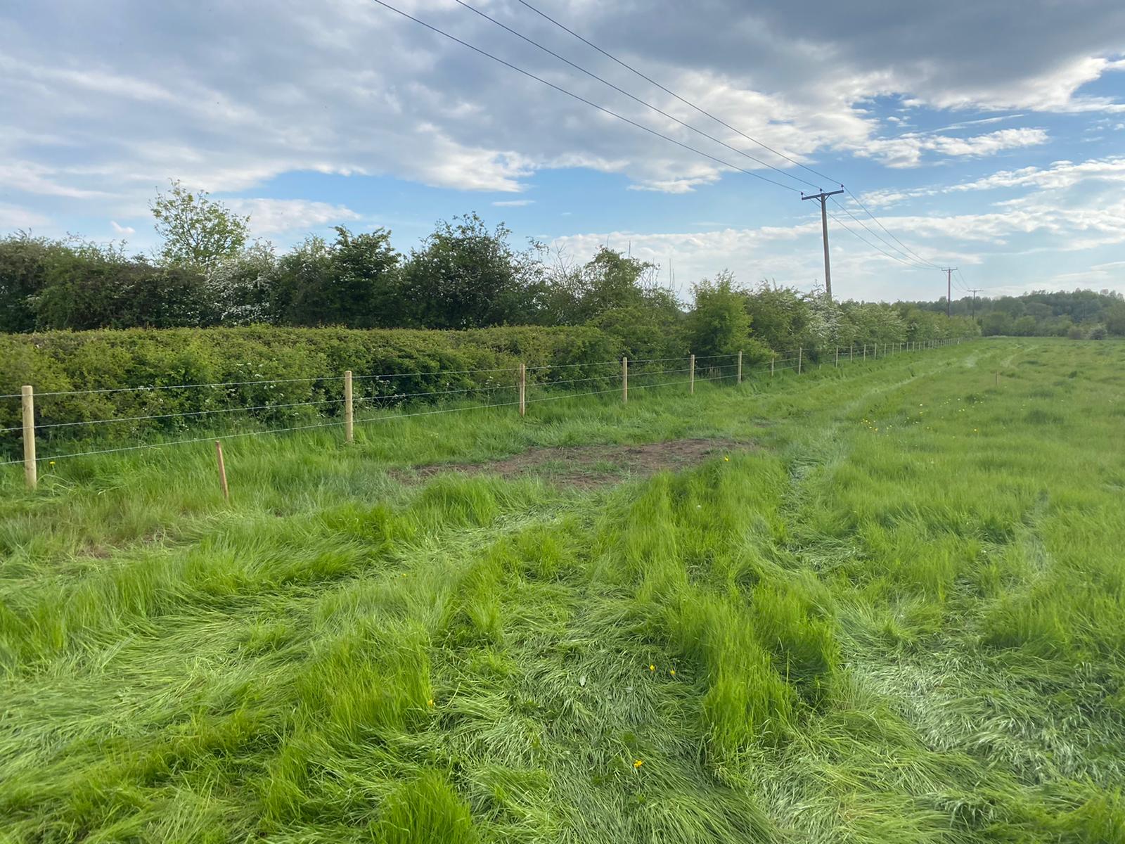 New post and wire fence line along a hedge